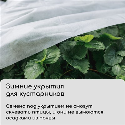 Материал укрывной, 5×3.2 м, плотность 80 г/м², спанбонд с УФ-стабилизатором, белый, Greengo, Эконом 30%
