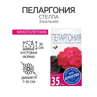 Семена цветов Пеларгония "Стелла", розовая с коричневым листом, F1, 4 шт