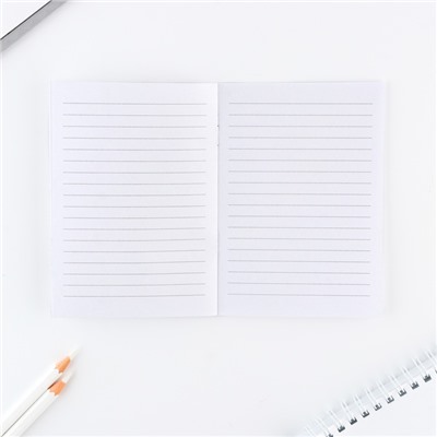 Подарочный набор, блокнот А6, карандаши 2 шт., и восковые мелки, 4 шт. «Енотик»