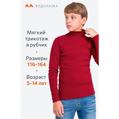 Детская базовая водолазка в рубчик Happyfox