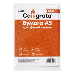 Бумага А5, 500 листов, плотность 80 г/м², белизна 146% CIE, в в термоусадочной плёнке (цена за 500 листов)
