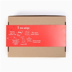 Набор новогодний подарочный "Время подарков" плед и аксессуары