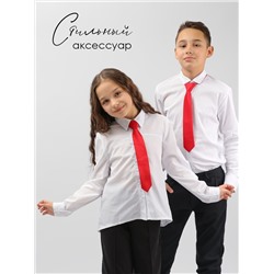 Соль&Перец Галстук