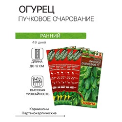 Семена Огурец "Пучковое очарование", F1,набор 5 шт