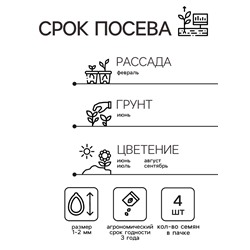 Семена комнатных цветов Пеларгония "Палитра красок", 4 шт.
