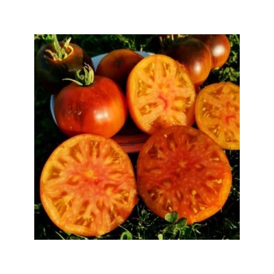 Помидоры Голубой Ананас — Ananas Bleu Tomato (10 семян)