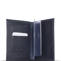 Обложка, автодокументы Richet Ri-027BV 512 Синий