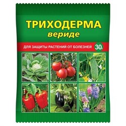Триходерма вериде