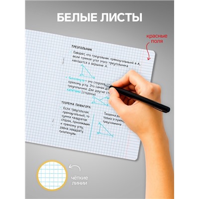 Комплект тетрадей из 10 штук, 18 листов в клетку Calligrata "Пятёрка", обложка мелованный картон, ВД-лак, блок офсет, 5 видов по 2 штуки