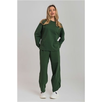 Костюм толстовка и брюки М326010х