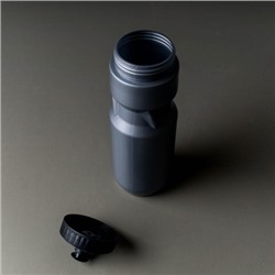 Бутылка для воды "Element". Серая. 850 мл. /711607 /FWEPE-26s / уп 1