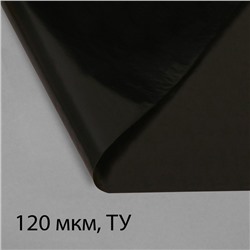 Плёнка из полиэтилена, техническая, толщина 120 мкм, чёрная, 10×3 м, рукав (1.5 м×2), Эконом 50%, для дома и сада, Greengo