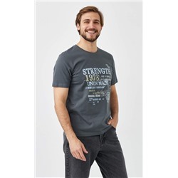 Футболка F311-06-750 fume