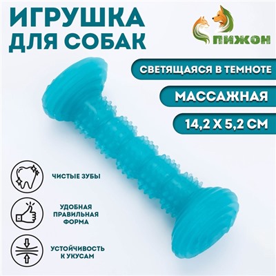 Жевательная игрушка для собак "Палка", светящаяся, массажная, 14,2 х 5,2 см, голубая
