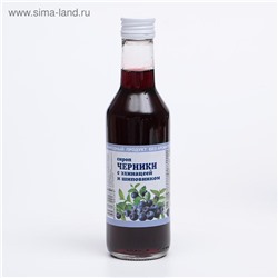 Сироп черники с эхинацеей и шиповником, 250 мл