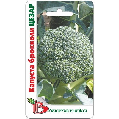 Капуста брокколи Цезар