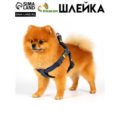 Шлейка "Джинс", чёрный подклад, ширина 2 см, ОШ 45-70 см, ОГ 45-70 см