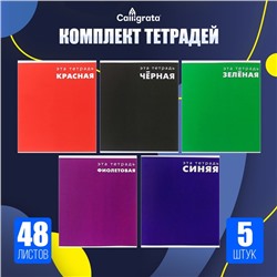 Набор тетрадей 48 листов в клетку Calligrata «Это тетрадь», обложка мелованный картон, 5 шт.