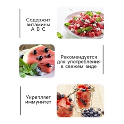 Семена Арбуз «Астраханский», 1 г, «Сембат»