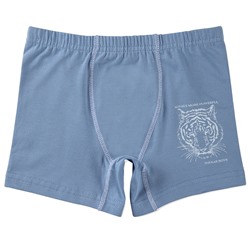 3106 Боксеры для мальчика многоцвет (BAYKAR)