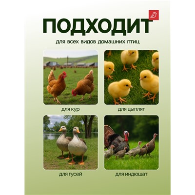 Кормушка бункерная для домашней птицы на 5 кг, цвет МИКС