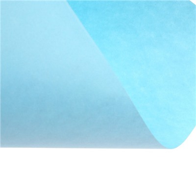 Бумага цветная Calligrata, А4, 250 листов, 10 цветов, пастель, интенсив, 80 г/м²