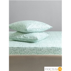CASSIA ЭМИНЕ К-т Наволочек 70х70-2, 2 пр., хл./сатин