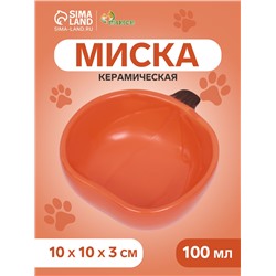 Миска керамическая для грызунов "Тыква" 10 х 10 х 4 см
