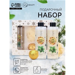 Новогодний подарочный набор косметики «Зимняя вьюга», с ароматом мяты и корицы. Золотая серия.