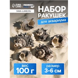 Набор ракушек с перламутром, 3 - 6 см, 100 г