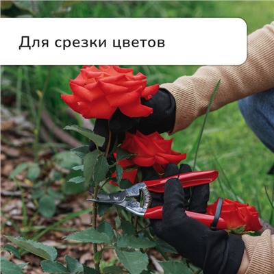 Ножницы садовые, 7" (18 см), с металлическими ручками, обрезиненная ручка, красные, Greengo