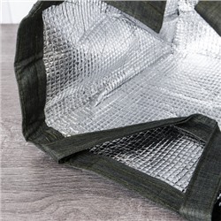 Сумка с эффектом сохранения холода, тепла/термосумка / DFB204green /уп 127/ 20x15x24 см, 5,5 л