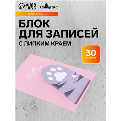 Блок для записей 45×75 мм, 30 листов «Серая лапка»