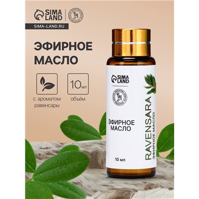 Эфирное масло «Равенсара», 10 мл, с пипеткой
