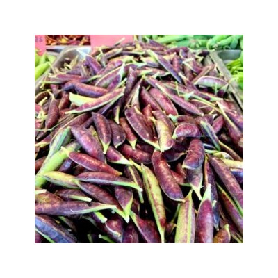 Снежный Пурпурный Императорский Горох — Snow Purple Imperial Peas (10 семян)