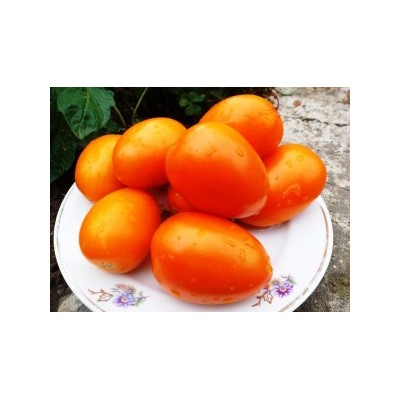 Помидоры Banana Orange — Оранжевый Банан (10 семян)