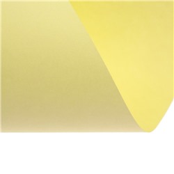 Бумага цветная Calligrata, А4, 250 листов, 10 цветов, пастель, интенсив, 80 г/м²