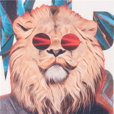 Набор подарочный "Mr.Lion" плед, носки, перчатки