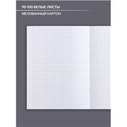 Тетрадь предметная 48 листов в клетку Calligrata «Животные. Алгебра», обложка мелованный картон