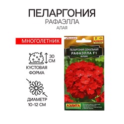 Семена цветов Пеларгония "Рафаэлла", алая, F1, 5 шт