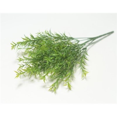 Ветка в букете аспарагус 6 веток