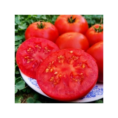 Помидоры Матушка Царица — Mother Queen Tomato (10 семян)