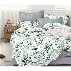 Постельное белье из поплина cтандарт ПВ25-1420