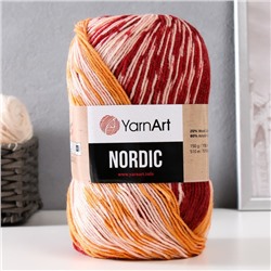Пряжа для вязания спицами, крючком YarnArt, Nordic, 20% шерсть, 80% акрил, 510 м/150 г, (667)
