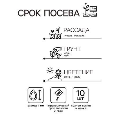 Семена комнатных цветов Бегония "Бада Бинг Роуз", 10 шт.
