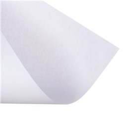 Набор 5 листов, ватман, чертежный, А0, 840×1189, 160 г/м²