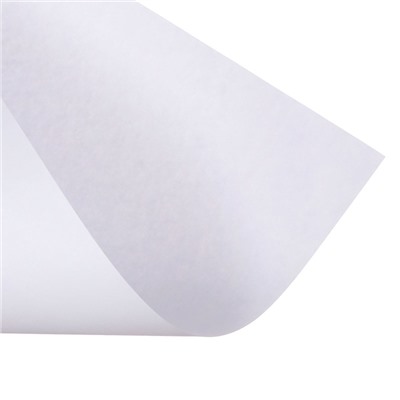 Набор 5 листов, ватман, чертежный, А0, 840×1189, 160 г/м²