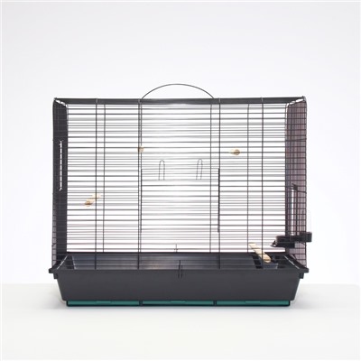 Клетка для птиц, «Рикки max 3», 79×44×65 см, микс цветов