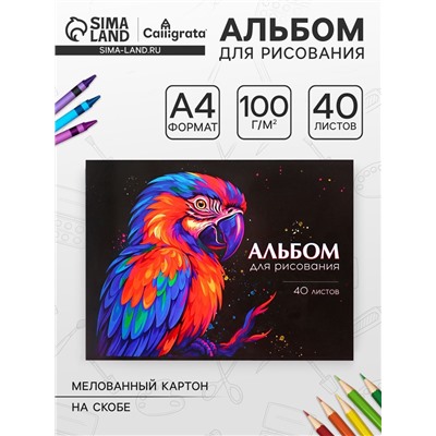 Альбом для рисования Calligrata, А4, 40 листов на скрепке, МИКС