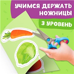 Книжка - вырезалка «Мои первые вырезалки. Контуры», 3 уровень, 43 картинки, 3+